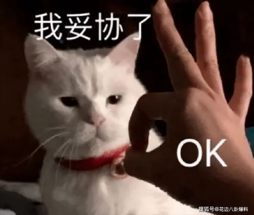  霞洛传为美色当舔狗被嫌弃傍靠山截胡资源与cp假戏真做