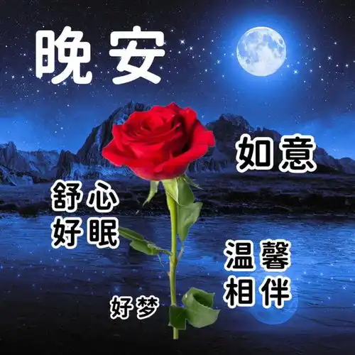  晚上好动态带字图片晚安图片表情包