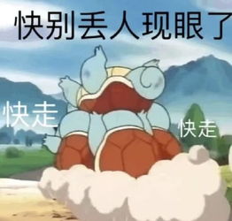 快拿开表情包杰尼龟