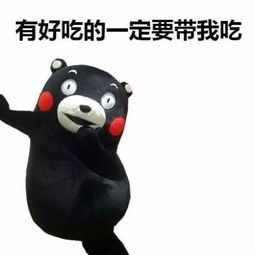 真怂表情包先跑