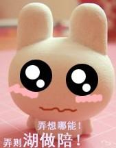  请问这只兔子叫什么,急