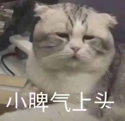  毁了杨紫赵丽颖求这位造型师放过美女