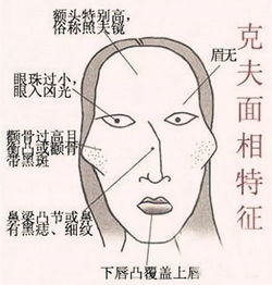  旺夫的女人