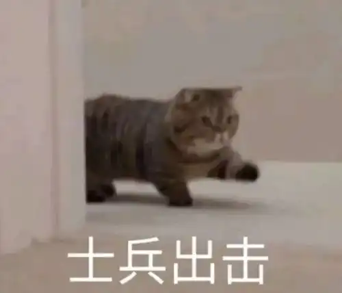  搞笑表情包图片好巧你也在,我们真有缘