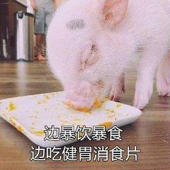 板凳表情包猪精