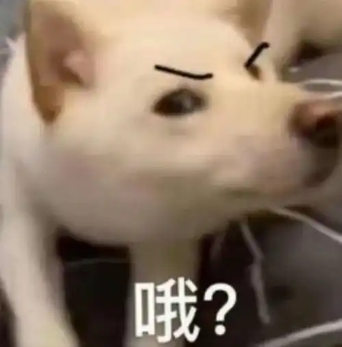  杂图表情包你在演我我要揍你