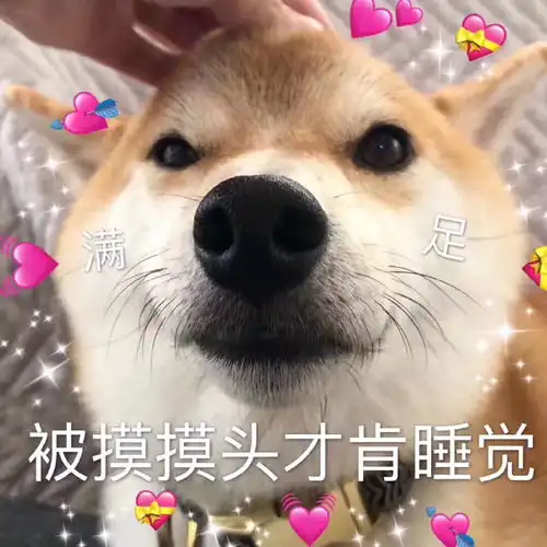  2020包情表第四期柴犬表情包