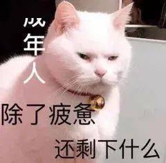 颜文字表情包哪里找抛单