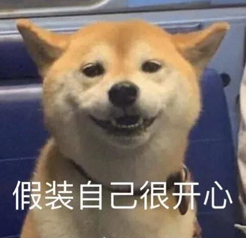  翻译硕士择校容易走进死胡同,你怎么看