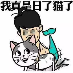  托福反面教材帮你避开托福路上所有的坑