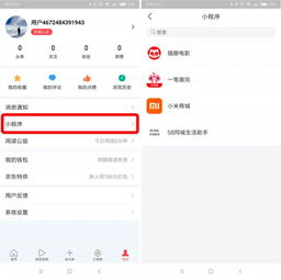情侣头像小程序抖音入口