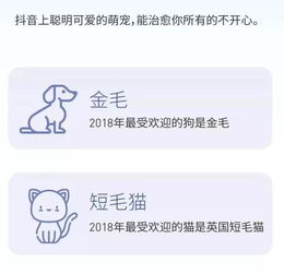  抖音爆红通关手册,就藏在这份大数据里