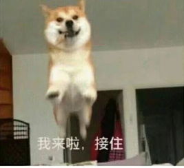  recall.8半糖特辑服务中心,与你相遇是人生莫大的荣幸