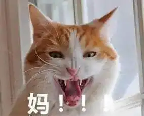  一发这个表情,我妈接着就回我了