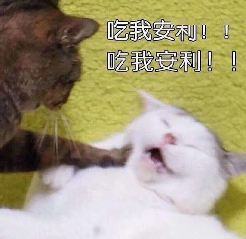  拯救剧荒宅家无聊就看这些有颜又有剧情的电影电视剧
