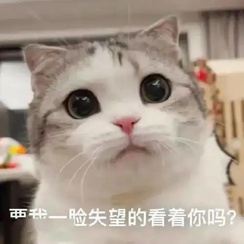 要两个亲亲表情包图片