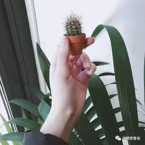  请记住我,虽然我要去远方