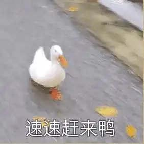  组里有当老师的吗