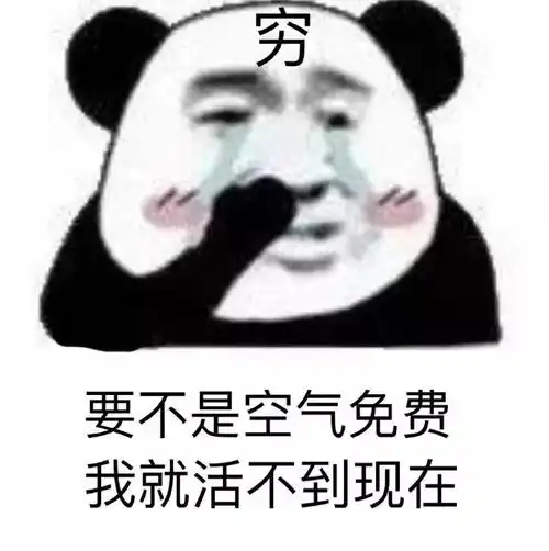  0108热门表情包我看你挺会花钱,能在我身上花点吗
