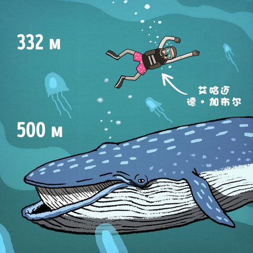  深度解读海洋有多深,下面到底是什么