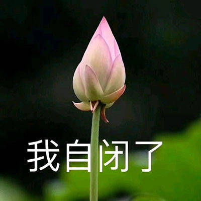  本人凭一己之力炸的烟熏包子