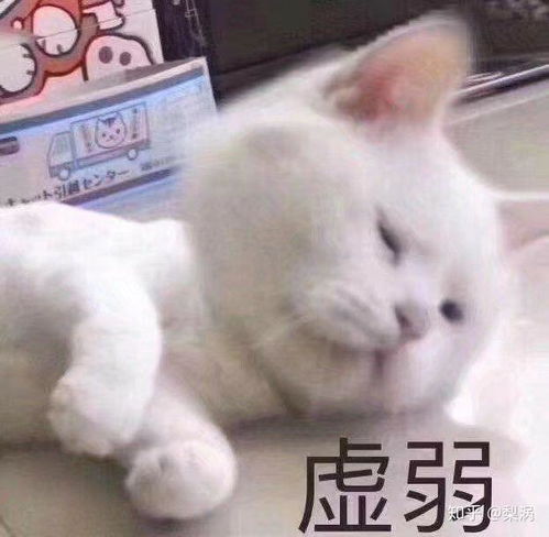  14岁化妆,可以吗