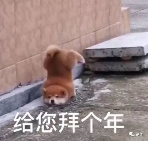  都给我点进来看