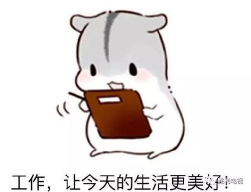  油田员工飞机场上班,15000平米旅客清凉服务全包了