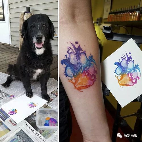  他们把家里狗狗的爪印纹在了身上,看起来还蛮不错的