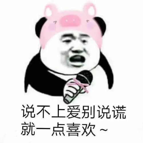  沙雕又搞怪的朋友圈文案