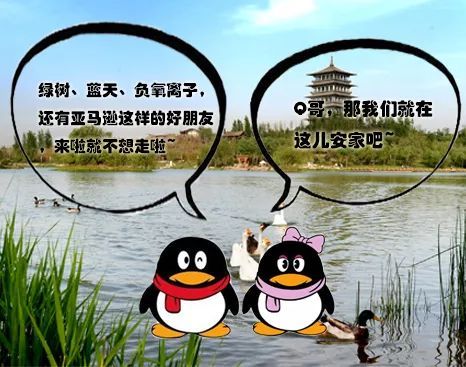  企鹅来啦腾讯双创小镇落户大西安东部千亿级新产业版块大势已成