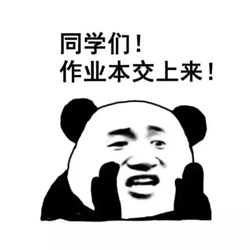  开学前一日补作业日,西安各中小学今日报名,你娃的作业写完了吗