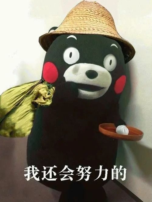  方方日记的个人看法