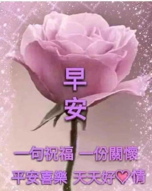 早早上好表情包早上好