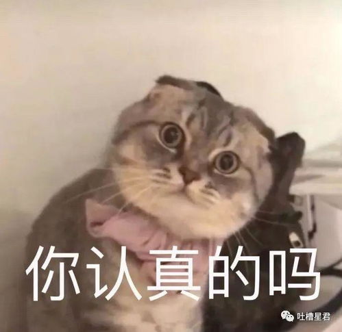 如何哄老婆开心表情包男