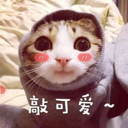  麻杆儿唐嫣突然胖成了肉蛋脸刚辟谣就被拍到去孕检了