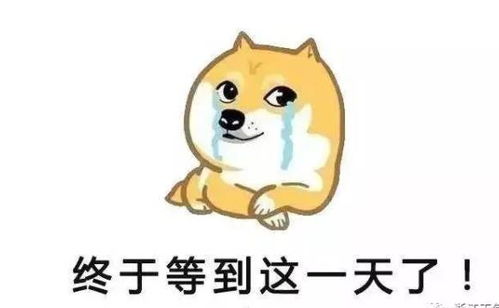  双台风天秤就问乐清人你怕吗,这个周末的暖和都是骗人的