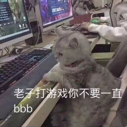  150多张聊天必备表情包大全