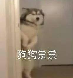 抖腿的表情包沙雕