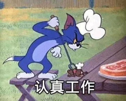 猫咪恶搞表情包猫和老鼠