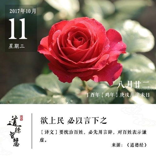 独一无二枫叶图片头像爱
