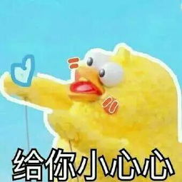  鹦鹉兄弟表情包