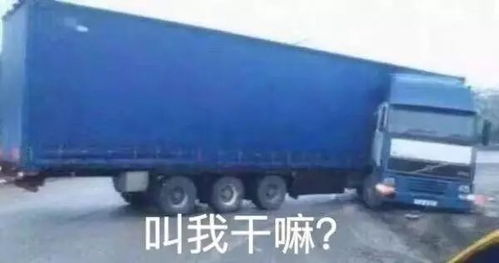 卡车表情包你们