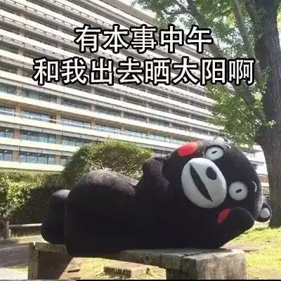  表情包丨朋友圈的日常