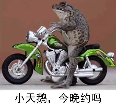  小天鹅今晚有空吗是什么意思小天鹅今晚有空吗梗的意思介绍咖绿茵手游站