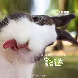  今天是世界微笑日,微笑面对生活
