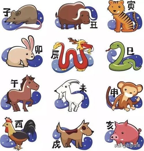  十二属相人生最苦命的时候,看看你在多少岁