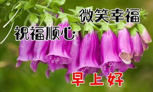  2020早安祝福语图片带字美图祝福,最漂亮早上好表情图片精选
