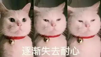  瘦了之后,大家对我说你怎么这么好看