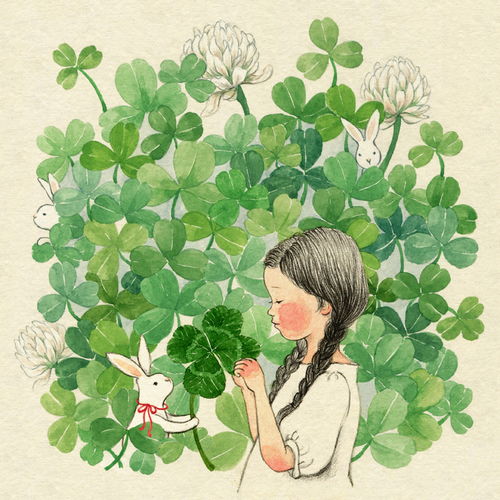  木槿花开